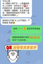 台南定點茶-甜葡萄