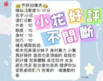 台中定點茶-小花