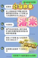 台中定點茶-洛米