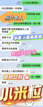 南投定點茶-小米粒