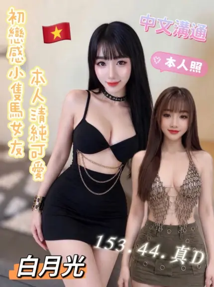 台東定點茶-白月光