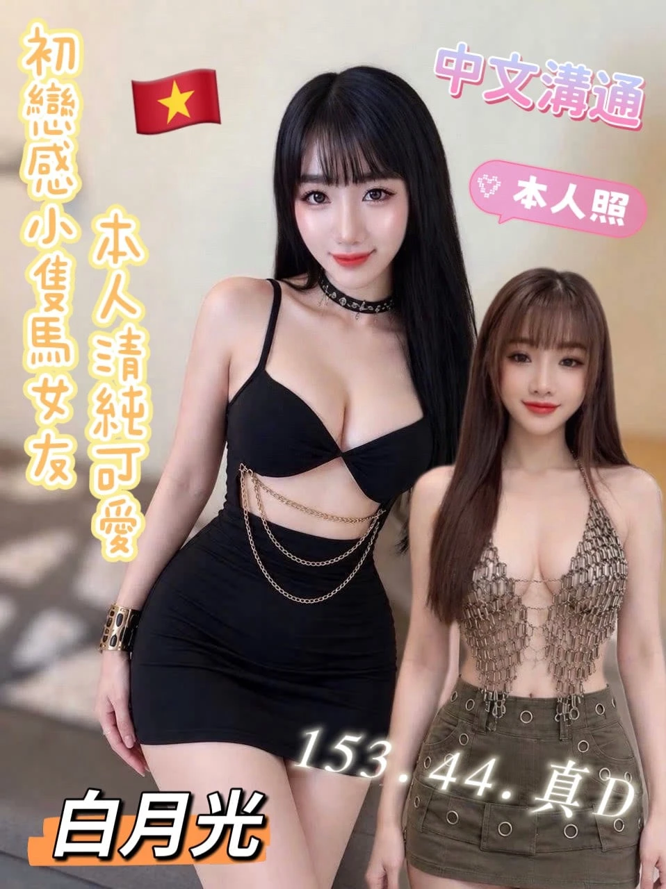 台東定點茶-白月光 台東定點茶-白月光