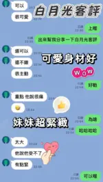 台東定點茶-白月光