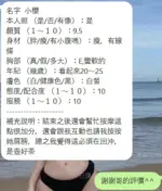 新竹定點茶-小櫻